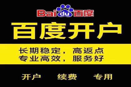 SEM推广案例：转化率提升策略